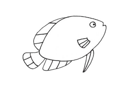 熱帶魚簡筆畫步驟 熱帶魚簡筆畫步驟