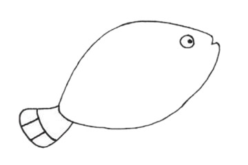 熱帶魚簡筆畫步驟 熱帶魚簡筆畫步驟