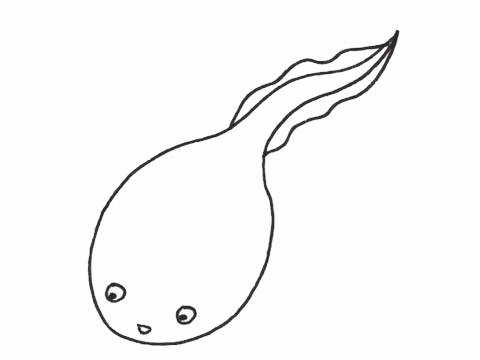 一組蝌蚪的簡筆畫大全