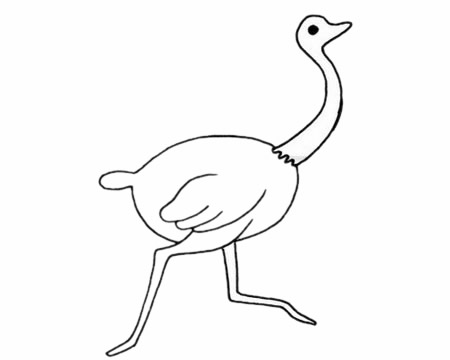 鴕鳥怎么畫最簡單