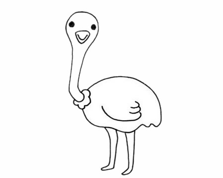 一組關于鴕鳥的簡筆畫大全