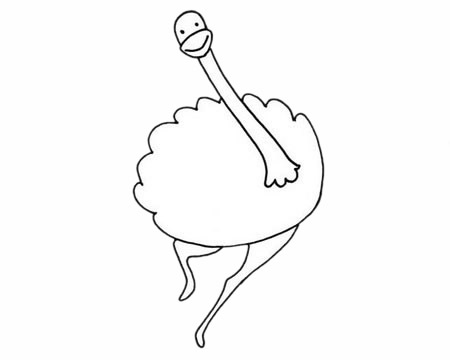 一組關于鴕鳥的簡筆畫大全