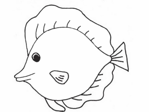 可愛的深海魚簡(jiǎn)筆畫