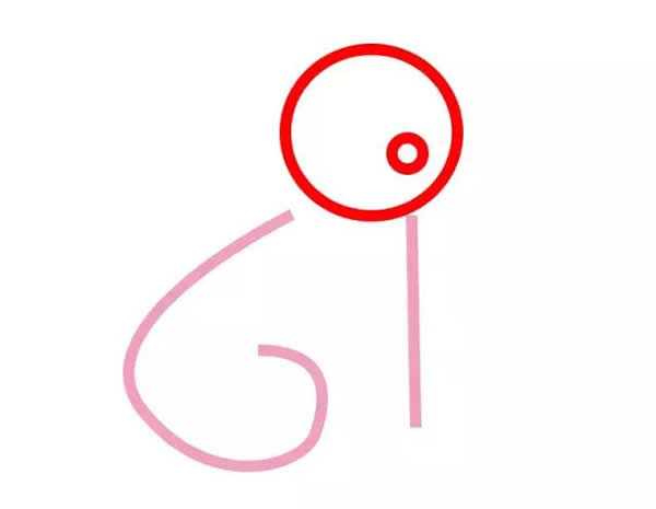 教你怎么用數字畫小兔子