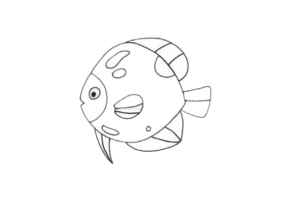 熱帶魚簡筆畫步驟 熱帶魚簡筆畫步驟