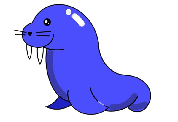 可愛(ài)的海象簡(jiǎn)筆畫(huà)畫(huà)法步驟