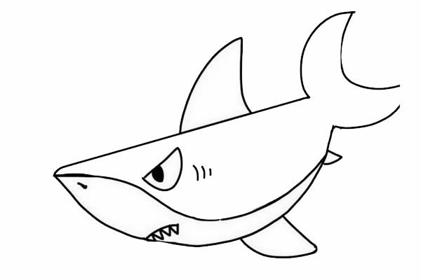 海底的大鯊魚簡筆畫