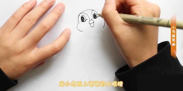 樹枝上可愛的小鳥簡筆畫