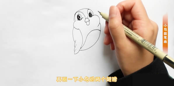 樹枝上可愛的小鳥簡筆畫