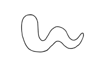 蚯蚓簡(jiǎn)筆畫(huà)簡(jiǎn)單畫(huà)法