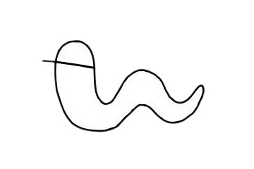蚯蚓簡(jiǎn)筆畫(huà)簡(jiǎn)單畫(huà)法