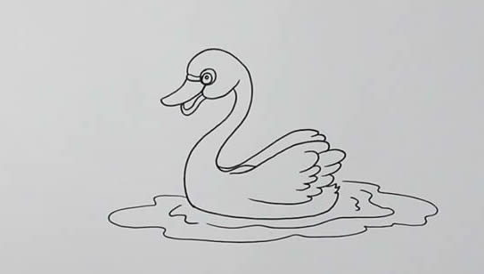 浮在水面的天鵝簡筆畫