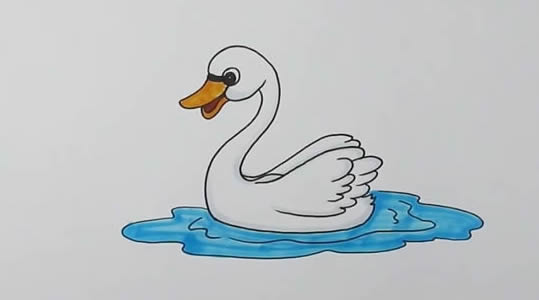 浮在水面的天鵝簡筆畫