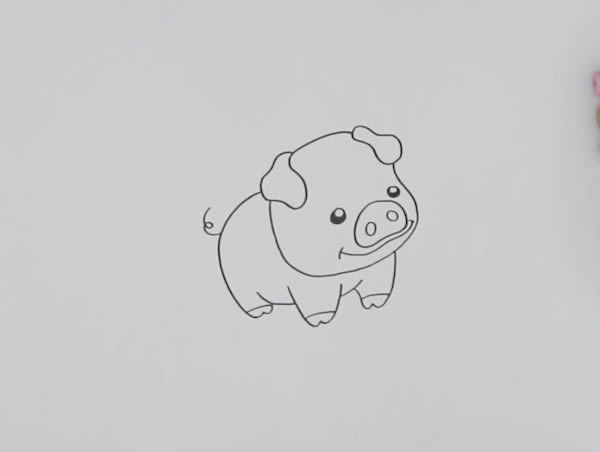 萌萌噠小豬簡(jiǎn)筆畫(huà)