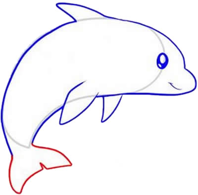 簡(jiǎn)單幾筆的海豚簡(jiǎn)筆畫(huà)