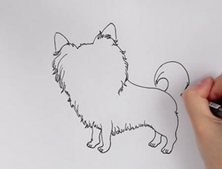 可愛的蝴蝶犬簡筆畫步驟