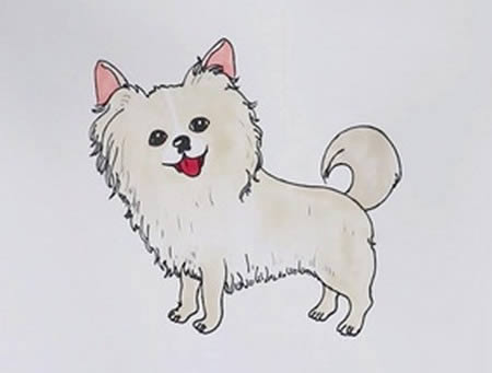可愛的蝴蝶犬簡筆畫步驟