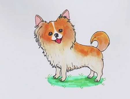 可愛的蝴蝶犬簡筆畫步驟