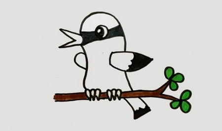 黃鸝鳥簡筆畫怎么畫簡單又漂亮