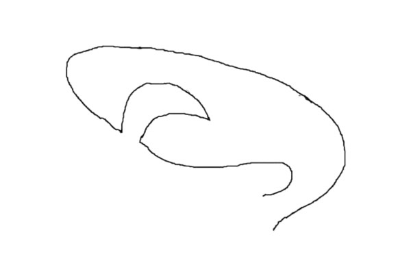 鯊魚簡筆畫怎么畫簡單兇狠 彩色畫法