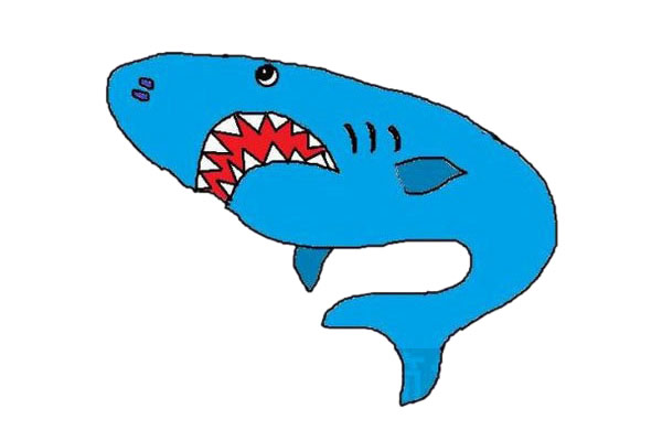 鯊魚簡筆畫怎么畫簡單兇狠 彩色畫法