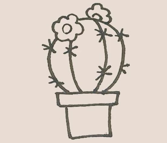 仙人球花簡筆畫步驟教程