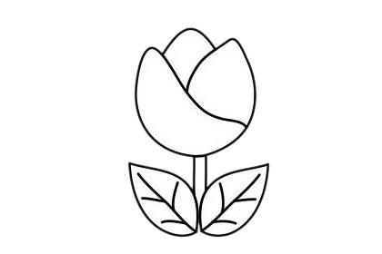 簡單易學(xué)的郁金香簡筆畫