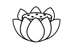 一步步教你畫簡單的荷花