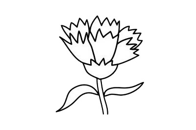 3款關(guān)于康乃馨的簡(jiǎn)筆畫(huà) 3款關(guān)于康乃馨的簡(jiǎn)筆畫(huà)