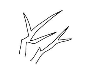 一步步教你畫簡單的梅花