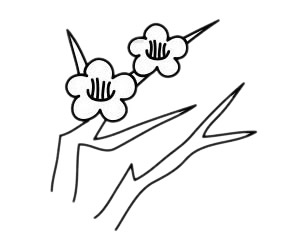 一步步教你畫簡單的梅花