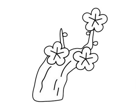 3款關于梅花的簡筆畫