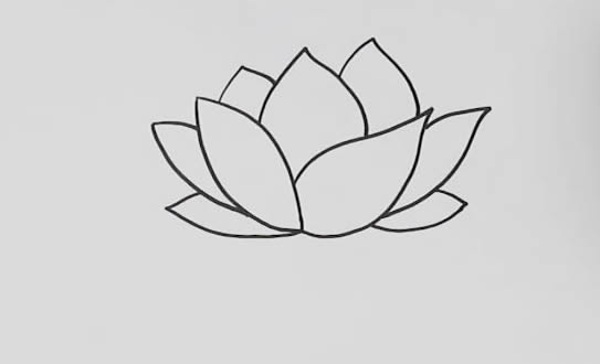 漂亮的荷花簡筆畫教程