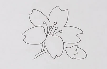 漂亮的迎春花簡(jiǎn)筆畫教程
