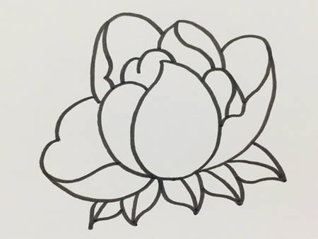 芍藥花簡筆畫步驟教程