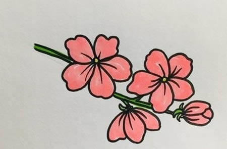 帶顏色的桃花簡筆畫教程