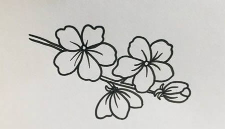 帶顏色的桃花簡筆畫教程