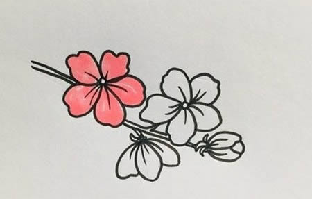 帶顏色的桃花簡筆畫教程