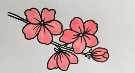 帶顏色的桃花簡筆畫教程
