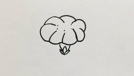 好看的牽牛花簡筆畫教程
