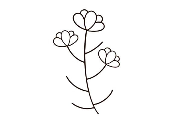 一枝漂亮的小花簡筆畫教程