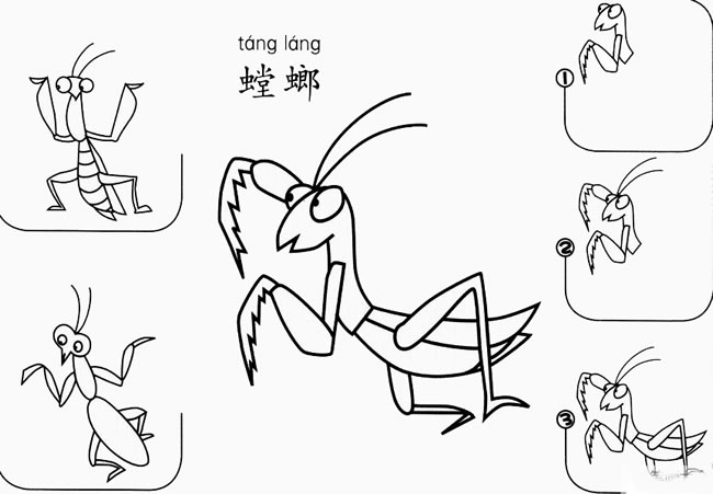 螳螂簡筆畫