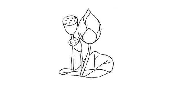 兒童學(xué)畫荷花簡筆畫步驟