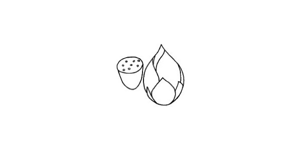 兒童學(xué)畫荷花簡筆畫步驟