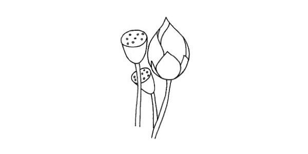 兒童學(xué)畫荷花簡筆畫步驟
