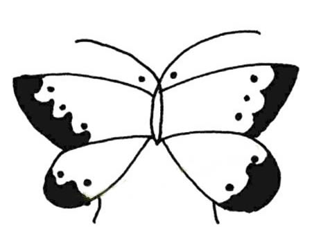 15張各不相同的蝴蝶簡(jiǎn)筆畫 15張各不相同的蝴蝶簡(jiǎn)筆畫