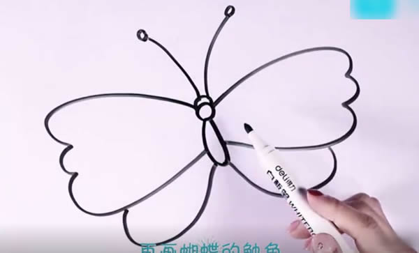 簡筆畫蝴蝶的畫法步驟