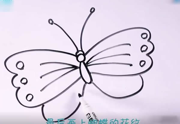簡筆畫蝴蝶的畫法步驟