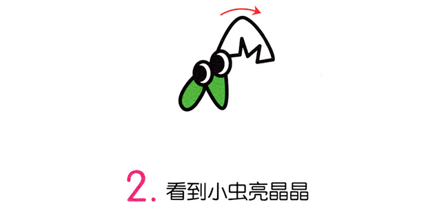 綠色的螳螂簡筆畫步驟 綠色的螳螂簡筆畫步驟