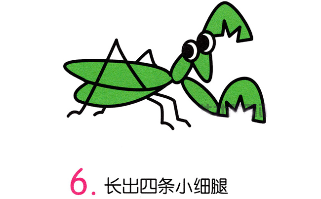 綠色的螳螂簡筆畫步驟 綠色的螳螂簡筆畫步驟